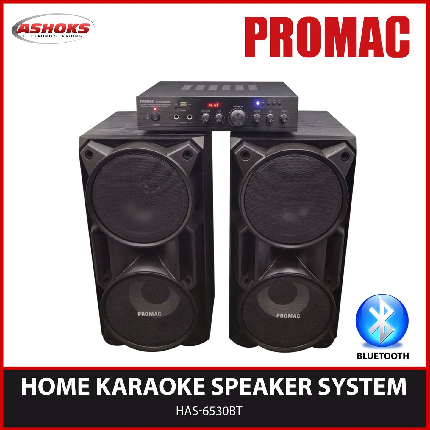 HAS6530BT / Home Karaoke Speaker System with Amplifier / karaoke Set