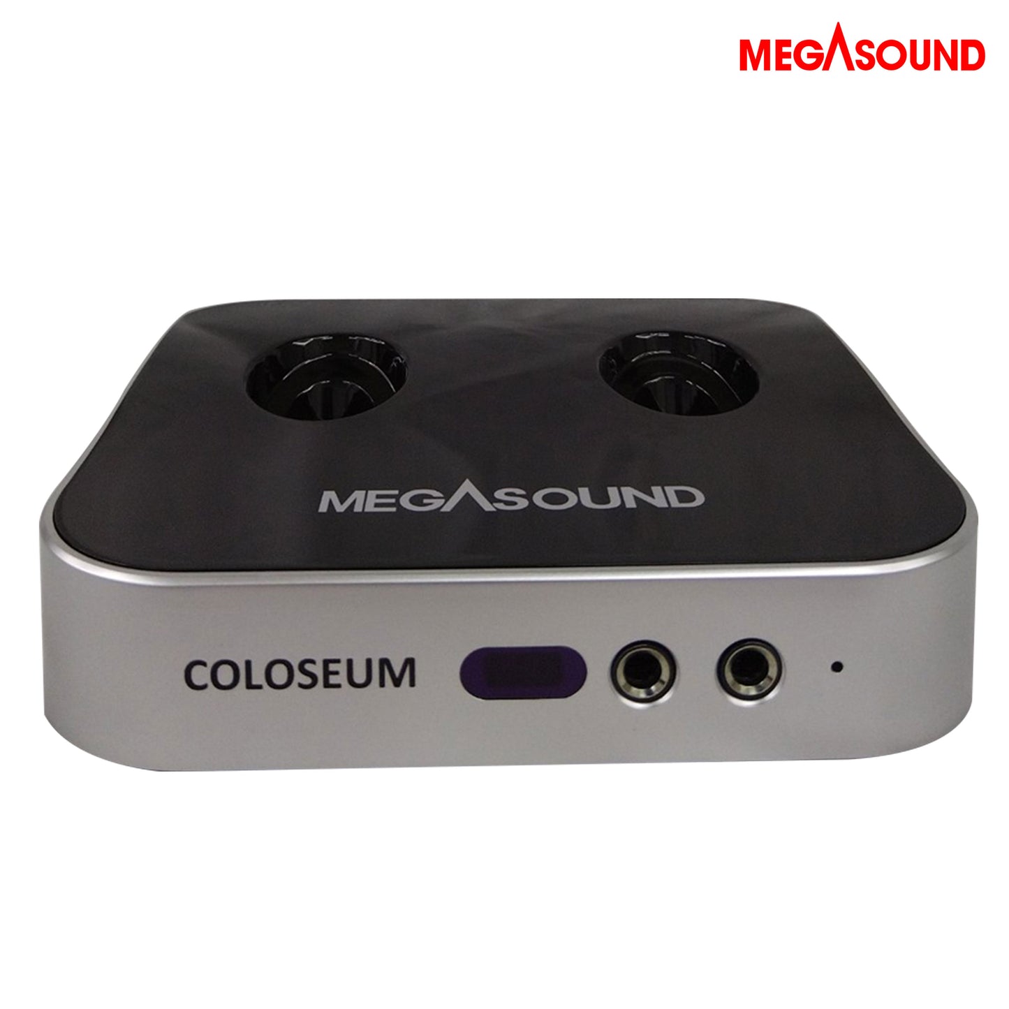 Megasound Colosseum - SD Karaoke High Quality UHF Wireless Microphones